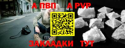 спиды Тула