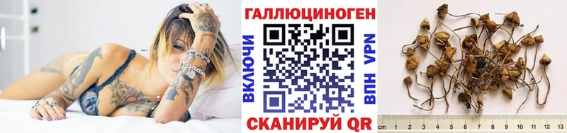 Псилоцибиновые грибы MAGIC MUSHROOMS  Печора 