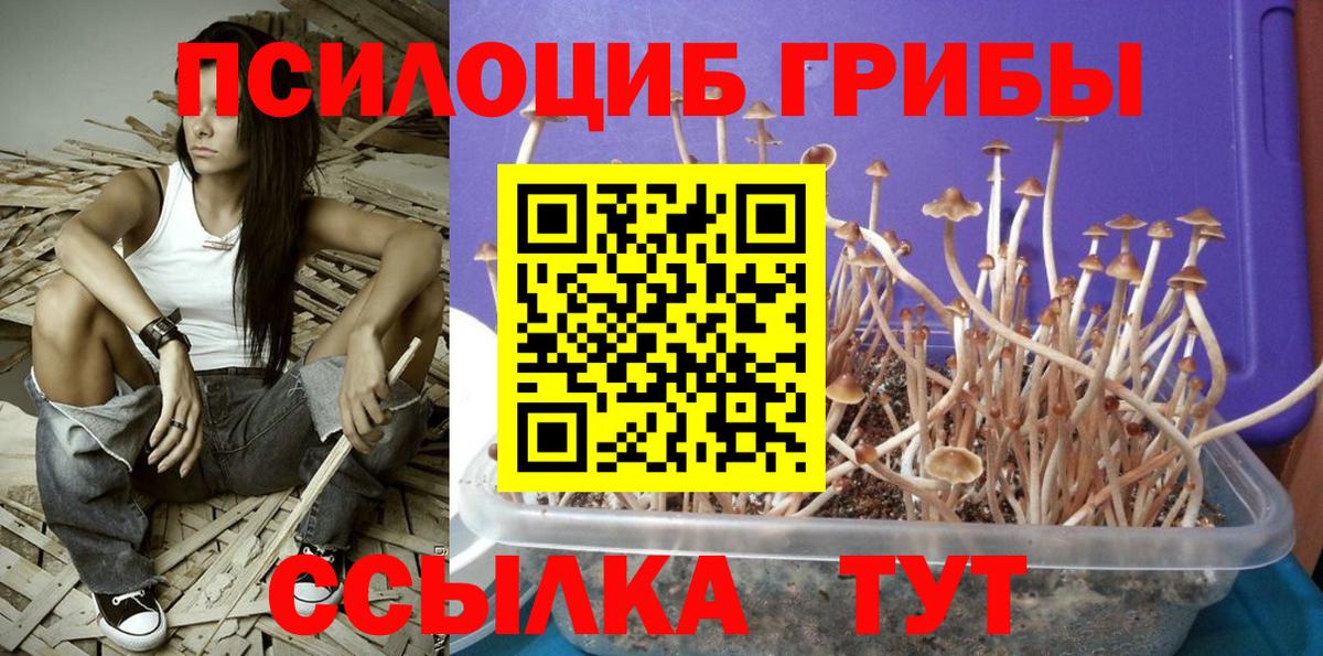 Галлюциногенные грибы Cubensis  закладки  Печора  Вход с VPN 