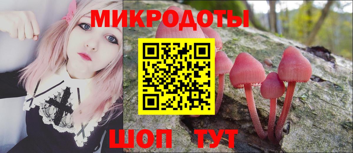 Галлюциногенные грибы Magic Shrooms Печора