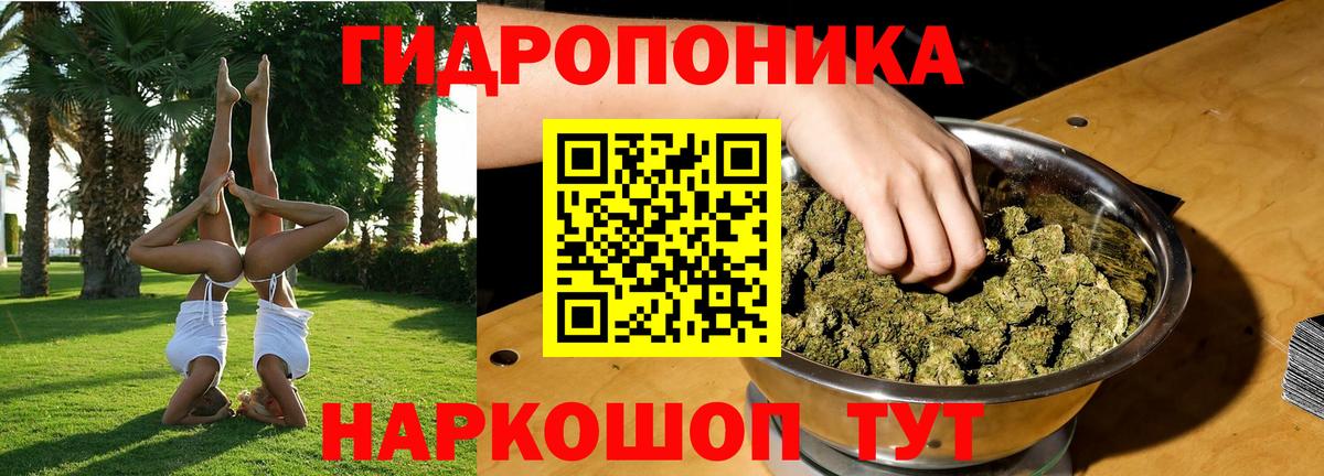 МАРИХУАНА план Печора